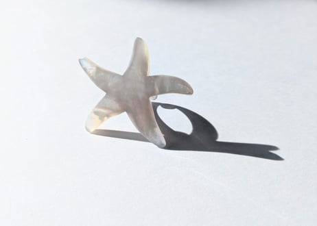 🇫🇷【Nature Bijoux】LES CYCLADES/リング