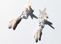 🇫🇷【Nature Bijoux】LES CYCLADES/ピアス(スタッズタイプ)