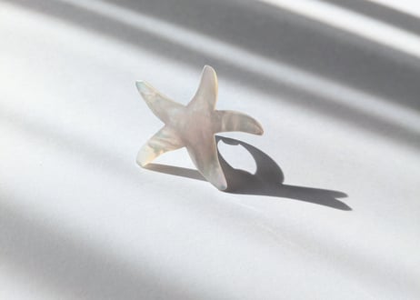 🇫🇷【Nature Bijoux】LES CYCLADES/リング