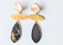 🇫🇷【Nature Bijoux】CALLIOPE/ピアス(スタッズタイプ)