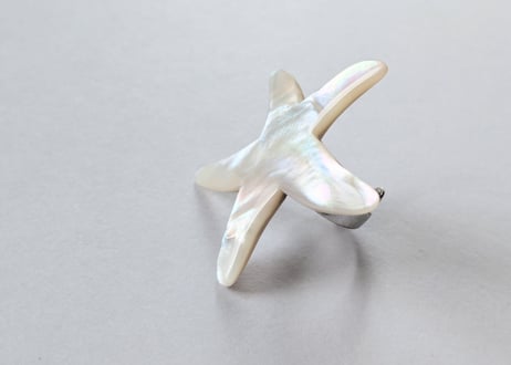 🇫🇷【Nature Bijoux】LES CYCLADES/リング