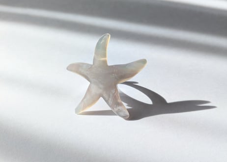 🇫🇷【Nature Bijoux】LES CYCLADES/リング