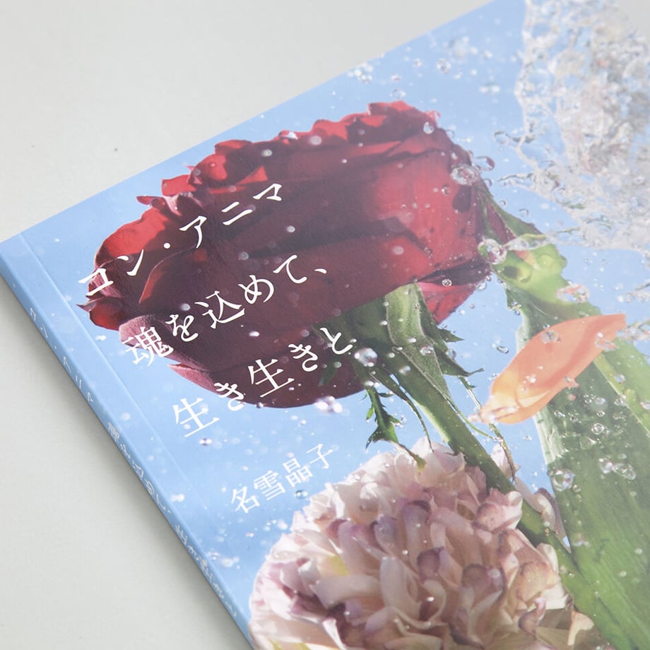 6076b091a87fc5533a947a77