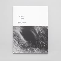 ハービー・山口写真集「and STILLNESS」（サイン入り） | Book