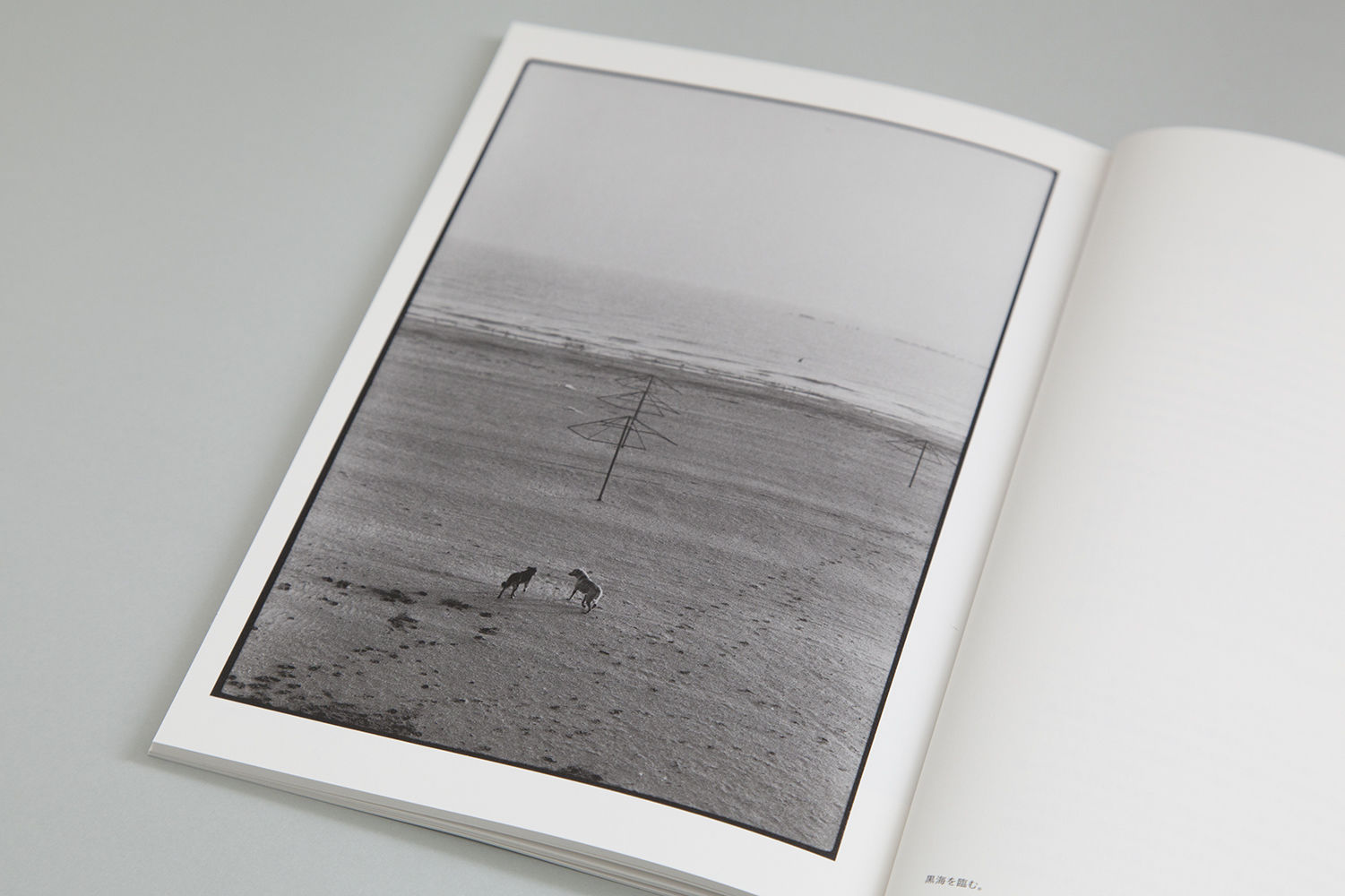 ハービー・山口写真集「and STILLNESS」（サイン入り） | Book Photo P