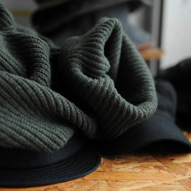 ☆ Edwina Horl (エドウィナホール) / EH33KN-02 タートルニット(D.