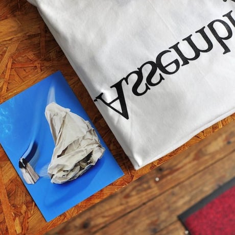 ★ ASSEMBLY NEW YORK / ヒント別注 LOGO L/S T SHIRT  (WHITE) ★