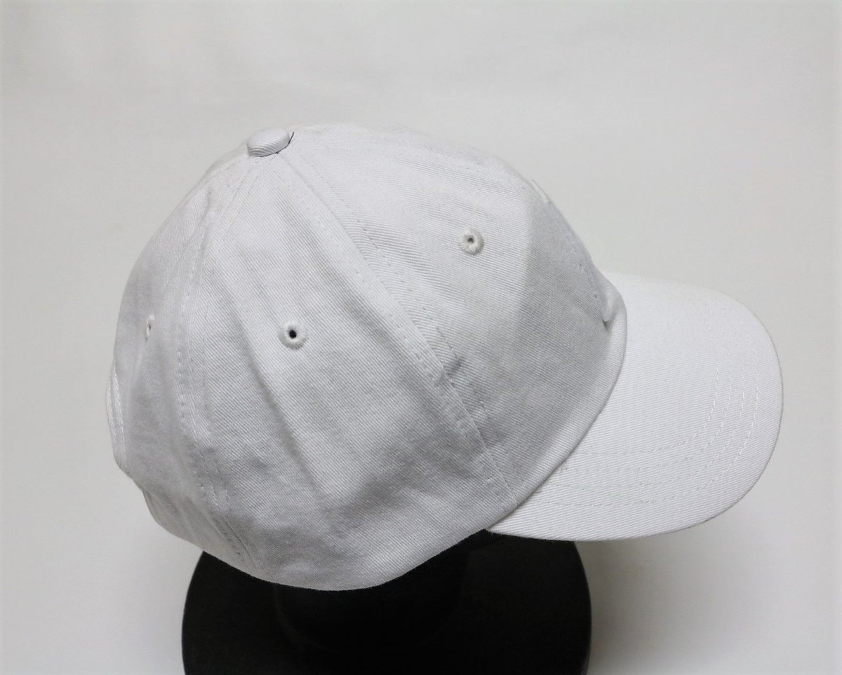 PALACE SKATEBOARDS P 6PANEL WHITE | NEO TRIBE