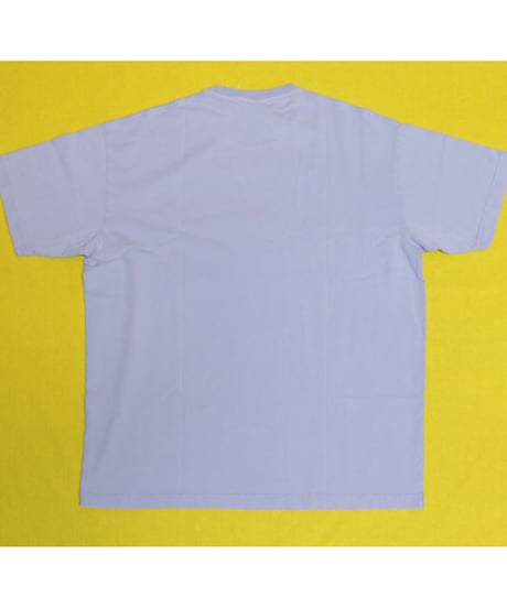 KITH x RW x AALIYAH BACK & FORCE VINTAGE T Avalanche Size M