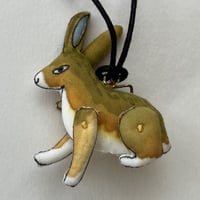 野生のお友達　ウサギ