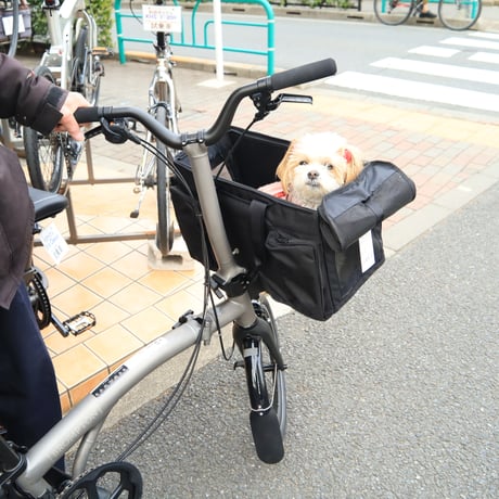 BROPET CARRY BAG