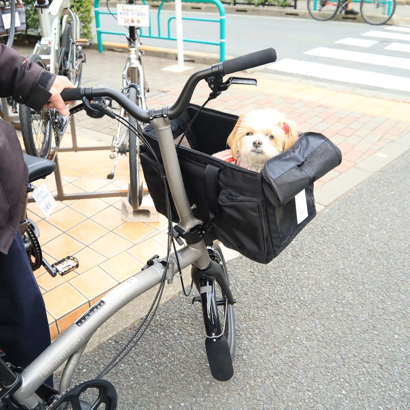 BROPET CARRY BAG | WADACYCLE online store