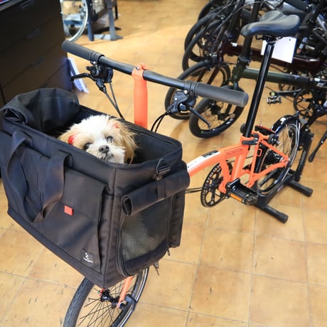 BROPET CARRY BAG