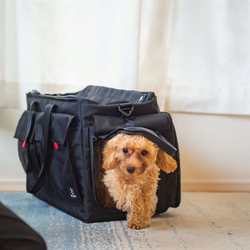 BROPET CARRY BAG | WADACYCLE online store