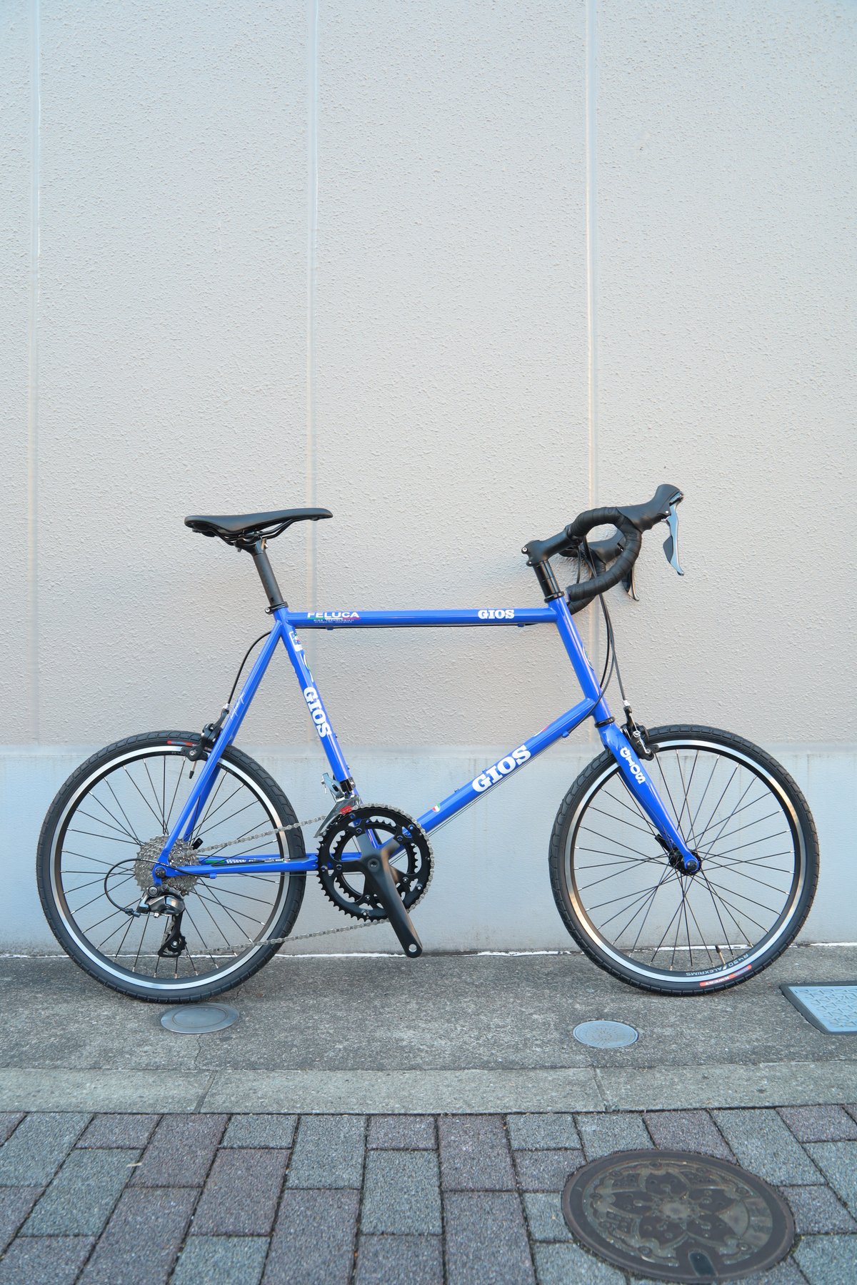 GIOS FELUCA【カラー:510】（本体価格：\98,010） ※店頭受け取り専用