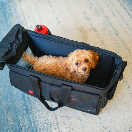BROPET CARRY BAG