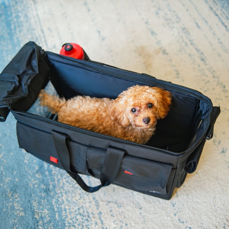 BROPET CARRY BAG ペット　キャリーバッグ　BROMPTON BROPET CARRY BAG | WADACYCLE online store