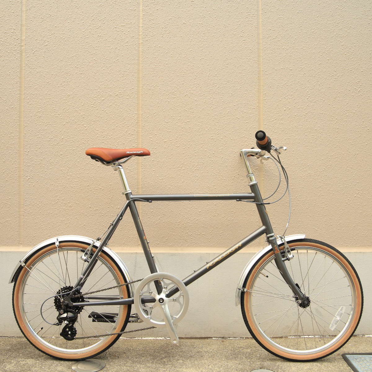 RALEIGH RSS【カラー:480ディープグレー】（本体価格：9,200） ※店頭