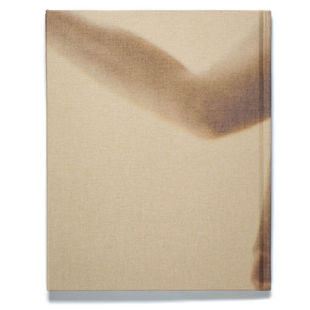 Sebastian Sabal-Bruce : After the Moon | Art Bo