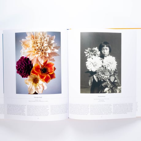 Flower: Exploring the World in Bloom