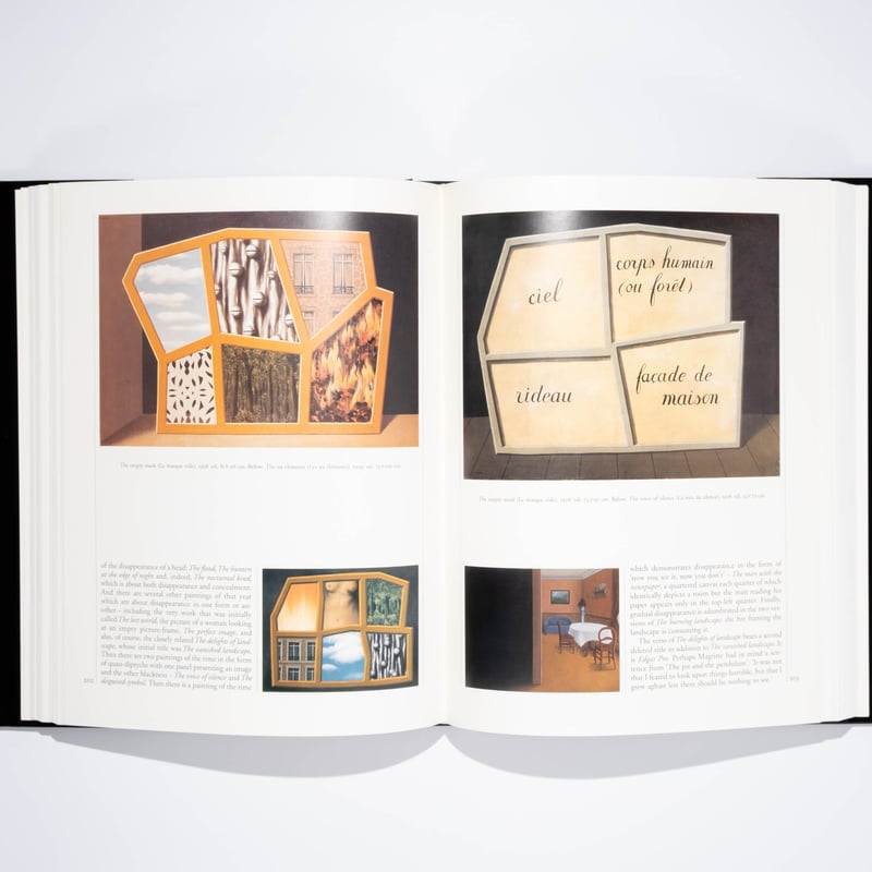 Magritte David Sylvester | Art Book Iskusstvo