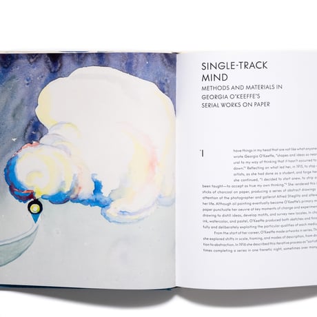 Georgia O'Keeffe: To See Takes Time