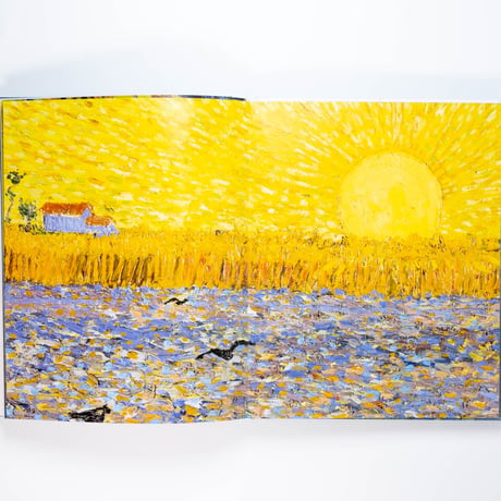 Van Gogh: The Bigger Picture