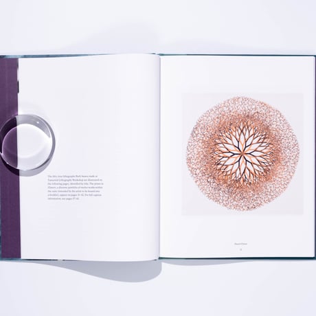 Ruth Asawa: The Tamarind Prints