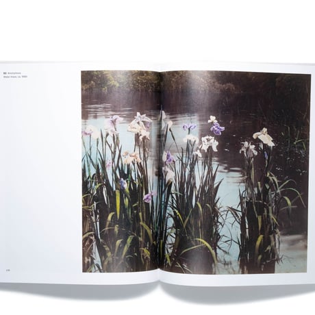 A New Art: Photography and Impressionism