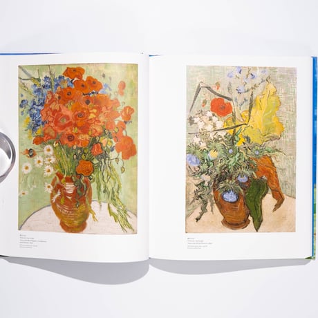 Van Gogh in Auvers-sur-Oise: His Final Months