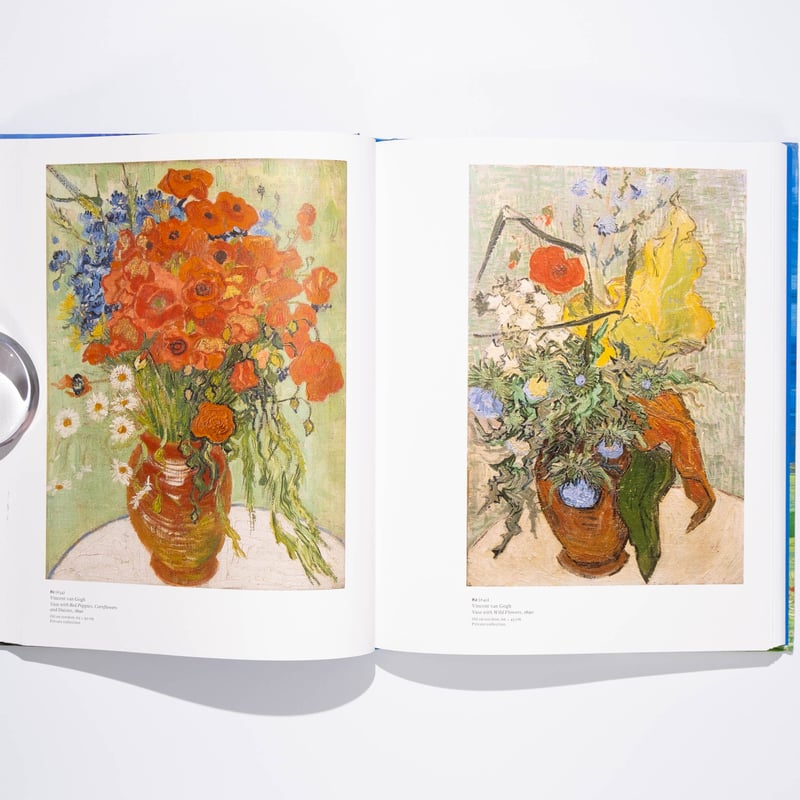 Van Gogh in Auvers-sur-Oise: His Final Months |