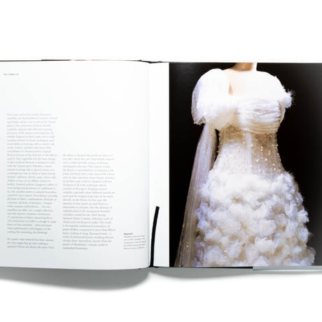 Chanel: Collections and Creations