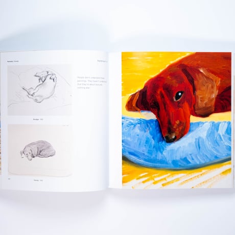 Hockney's Pictures