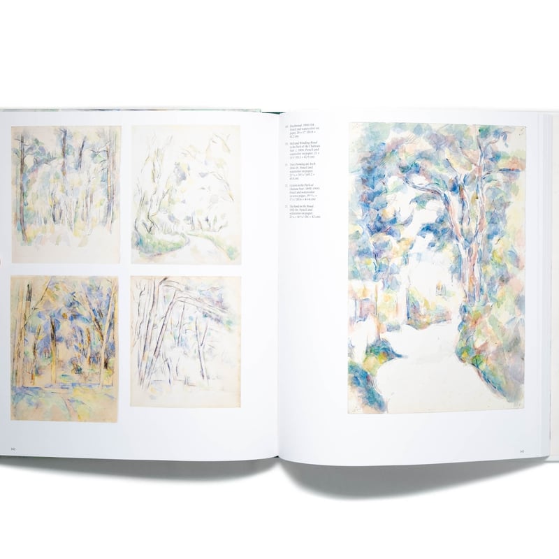 洋書、展覧会図録『Cézanne in focus』 洋書、展覧会図録『Cézanne in focus』