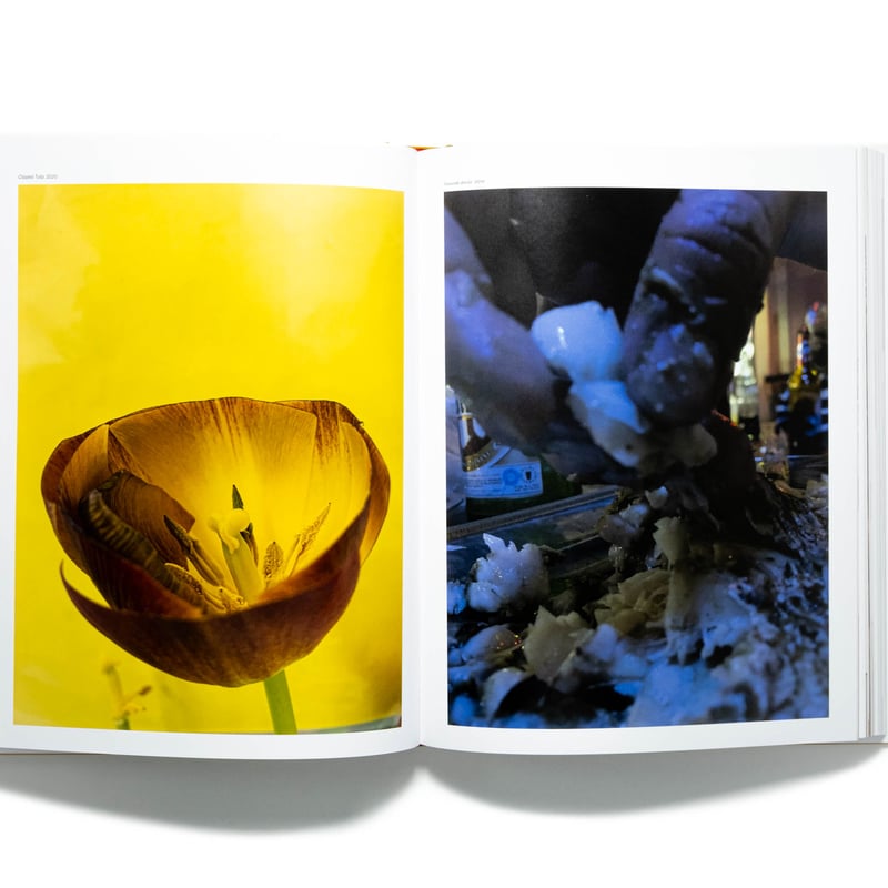 Wolfgang Tillmans: To look without fear | Art B