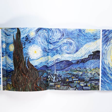 Van Gogh: The Bigger Picture