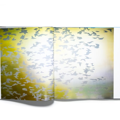 Helene B. Grossmann: Share the Light