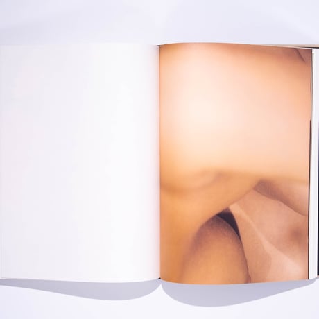 David Lynch, Digital Nudes