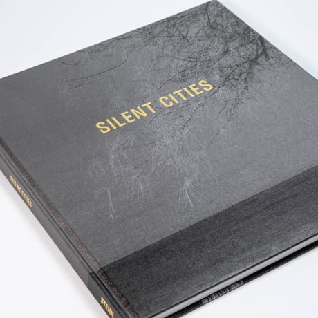 Mat Hennek: Silent Cities