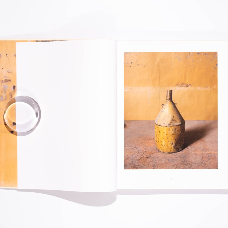 Joel Meyerowitz: Morandi's Objects | Art Book I