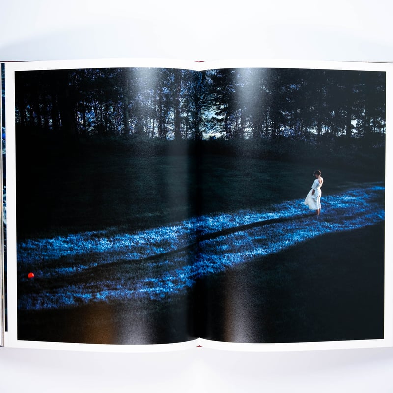 Erik Madigan Heck: The Tapestry | Art Book Isku