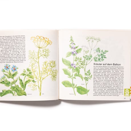 オール・マイ・プランツ：子どものためのガーデニング本