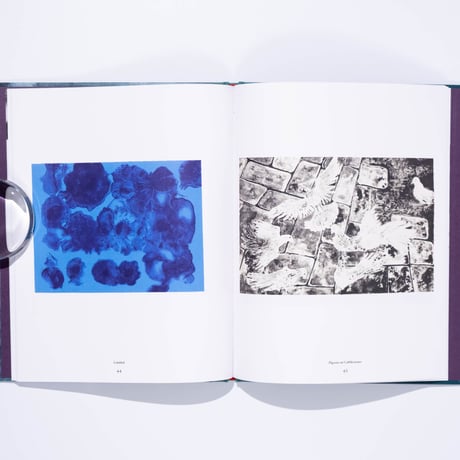 Ruth Asawa: The Tamarind Prints