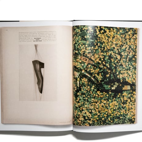 Diana Vreeland: The Modern Woman: The Bazaar Years, 1936-1962