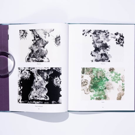Ruth Asawa: The Tamarind Prints