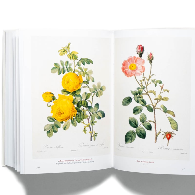 A Garden Eden. Masterpieces of Botanical Illust