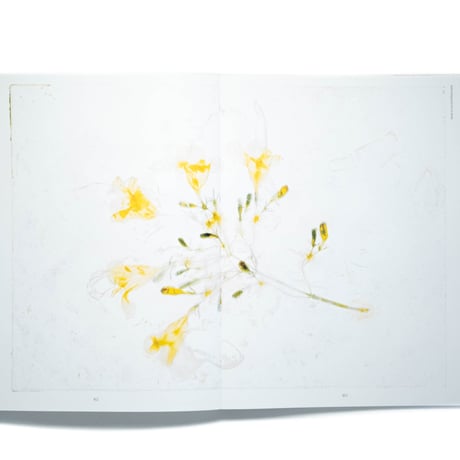Brigitte Lustenberger: An Apparition of Memory