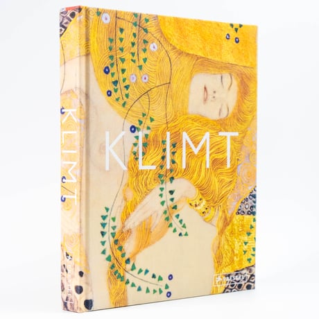 Klimt: The Bigger Picture