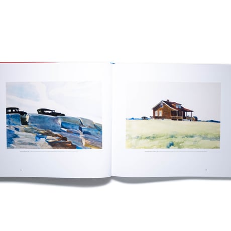 Edward Hopper: A Fresh Look at Landscape