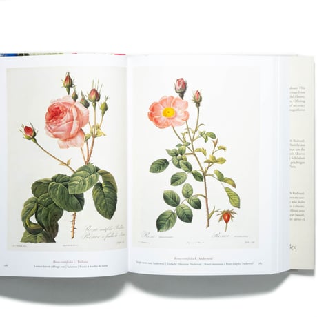 Redouté: The Book of Flowers. 40th Ed.